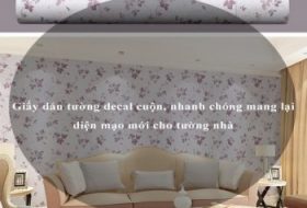 Giấy dán tường decal cuộn, nhanh chóng mang lại diện mạo mới cho tường nhà