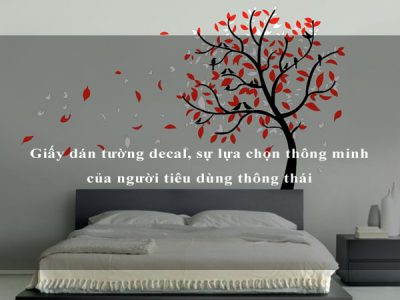 Giấy dán tường decal, sự lựa chọn thông minh của người tiêu dùng thông thái